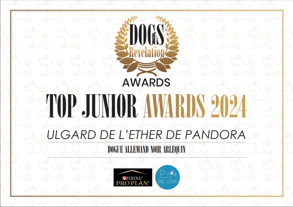 Top Junior Awards 2024